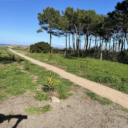 Borgo- Bord De Mer Coquet Studio Avec Terrasse *