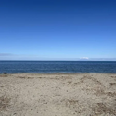 Borgo- Bord De Mer Coquet Studio Avec Terrasse